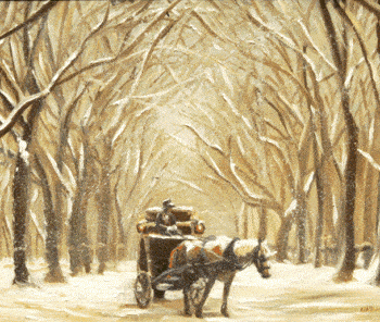 Winter in Central Park