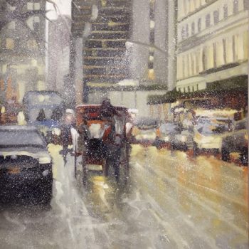 Carriage Ride over Central Park