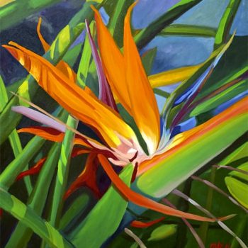 Bird of Paradise
